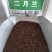 二月兰种子春秋季节播种品种好欢迎选购