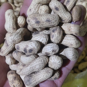 纯手工自家炒制花生米