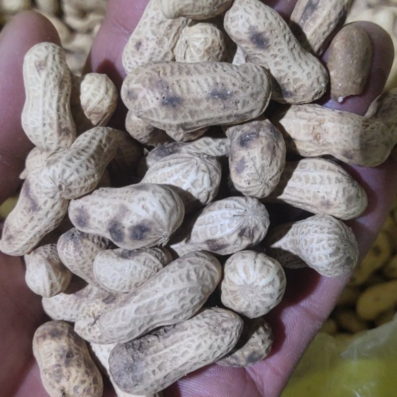 纯手工自家炒制花生米