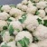 白面青梗松花菜，2~3斤散花，乳白，小米粒，