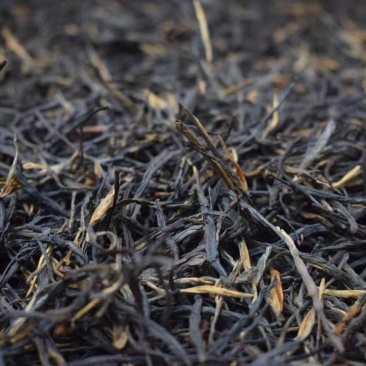 云南滇红茶，凤庆红茶特级松针，口感香甜，蜜香，条索油亮