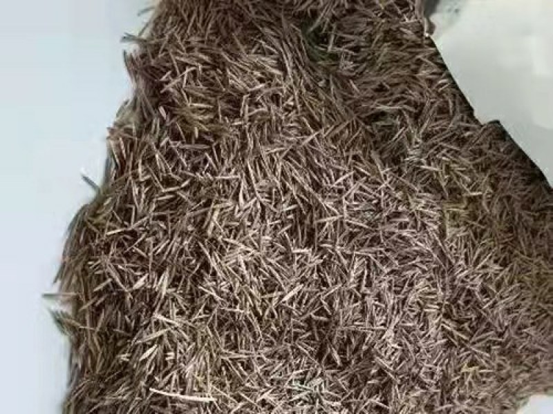 进口鼠茅草种子果园绿肥草籽抑制杂草生长改善土质保水保湿