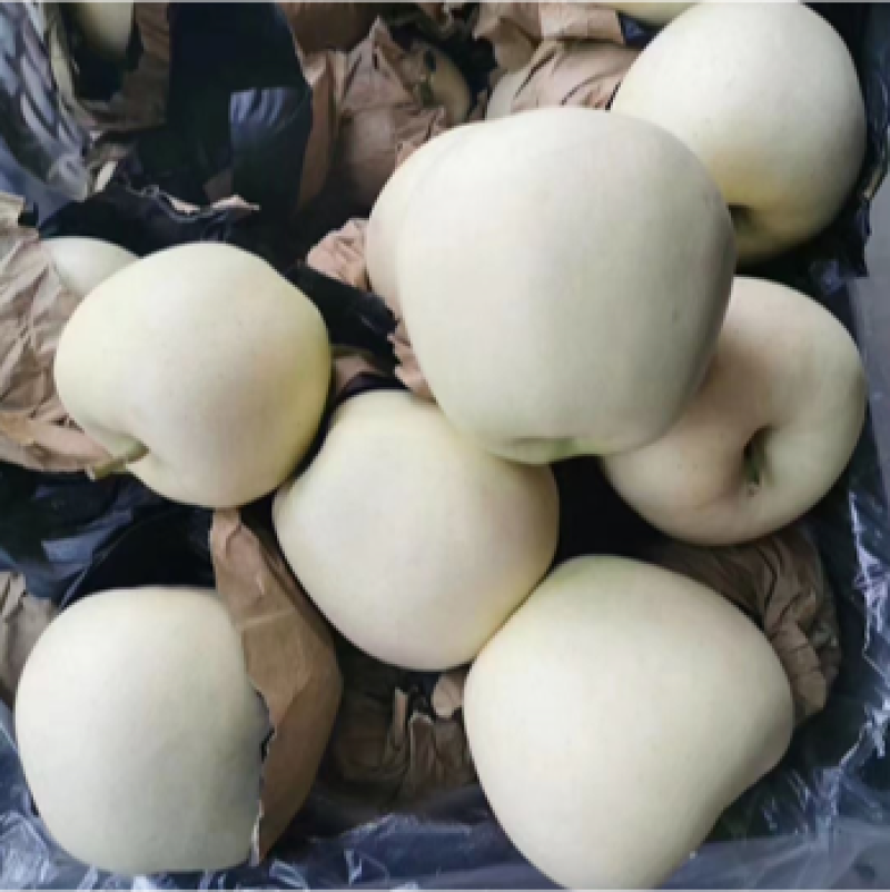 黄元帅精品干净大个白，加工，套网，大量有货需要的老板联