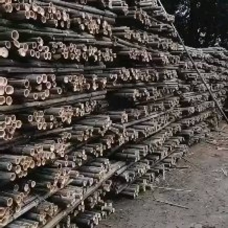 河南濮阳范县竹竿批发市场
