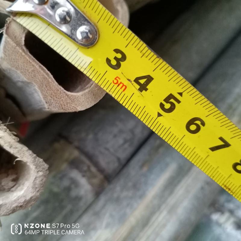 河南濮阳范县竹竿批发市场