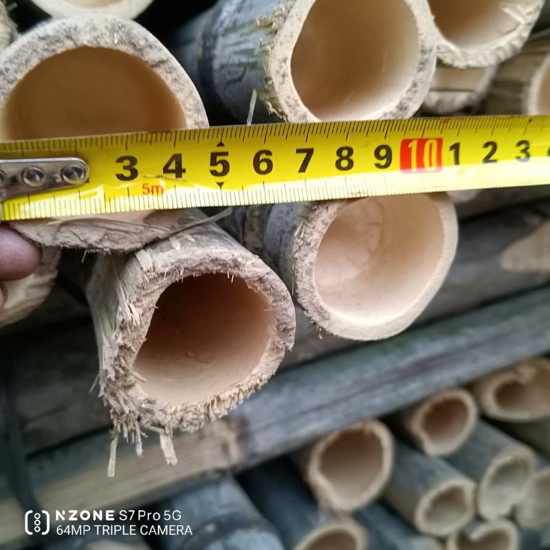 河南濮阳范县竹竿批发市场
