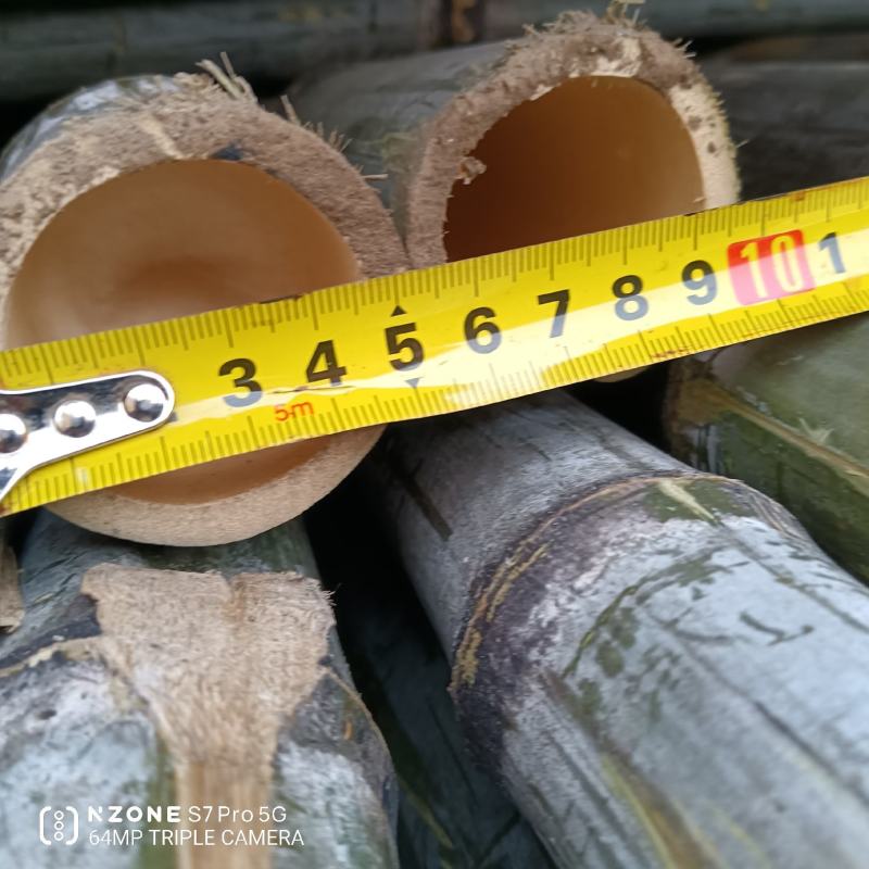 河南濮阳范县竹竿批发市场