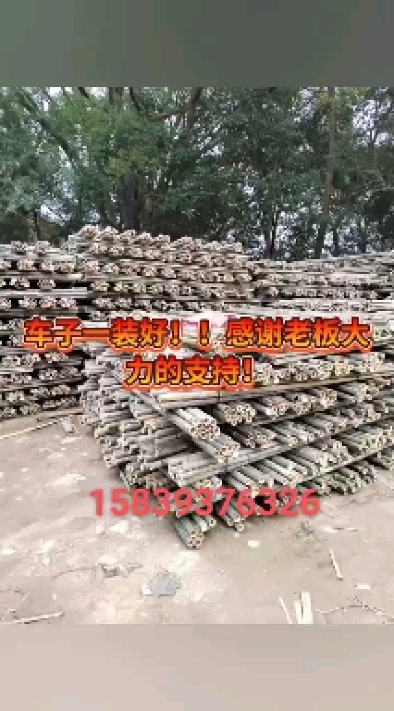 河南濮阳范县竹竿批发市场