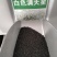 满天星花种籽子四季开花室外易活易种花籽夏季室内庭院盆栽花