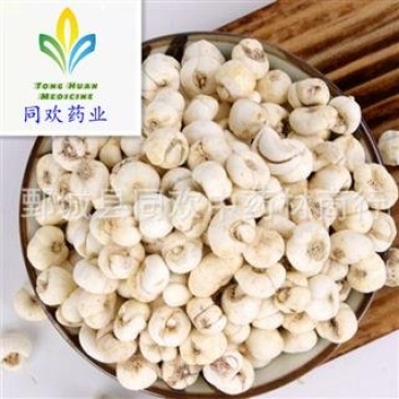 【小中粒平贝母怀中抱月】@【同欢药材】中药材批发供应
