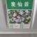 麦仙翁种子庭院室外麦毒草花籽四季播种易活开花不断盆栽花卉