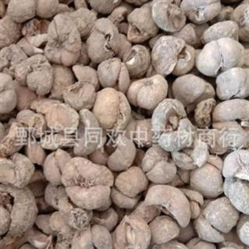 【无硫浙贝母个】@【同欢药材】中药材批发供应