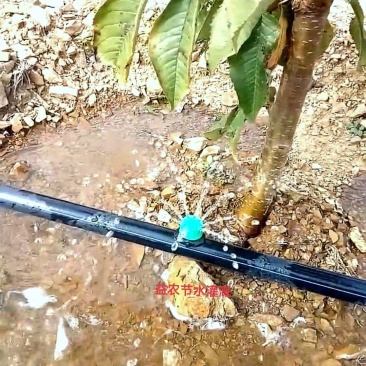 厂家供应滴灌可调式涌泉微喷大流量地插式50CM毛管