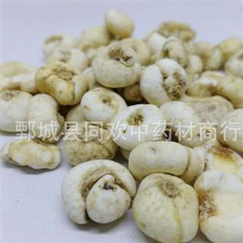 【大选个平贝母】@【同欢药材】中药材批发供应规格齐全