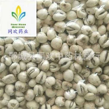 【平贝母磨砂平贝母】@【同欢药材】中药材批发供应