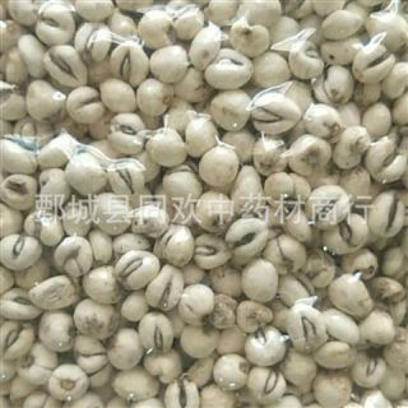 【平贝母磨砂平贝母】@【同欢药材】中药材批发供应