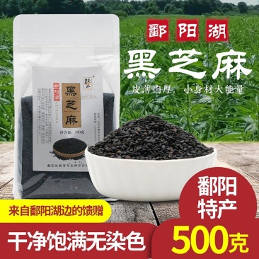 江西鄱阳黑芝麻基地直供老品种颗粒小皮薄肉厚口感香无苦涩味