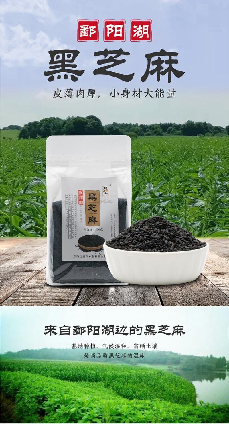 江西鄱阳黑芝麻基地直供老品种颗粒小皮薄肉厚口感香无苦涩味