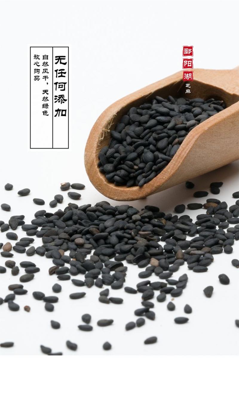 江西鄱阳黑芝麻基地直供老品种颗粒小皮薄肉厚口感香无苦涩味