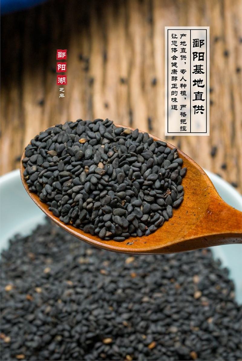 江西鄱阳黑芝麻基地直供老品种颗粒小皮薄肉厚口感香无苦涩味