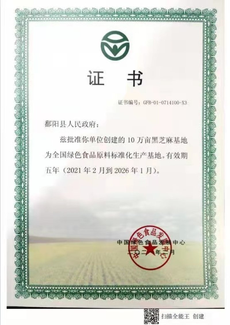 江西鄱阳黑芝麻基地直供老品种颗粒小皮薄肉厚口感香无苦涩味