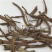【南五加皮个】@【同欢药材】中药材批发供应规格齐全