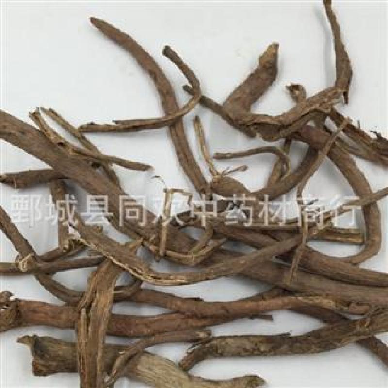 【南五加皮个】@【同欢药材】中药材批发供应规格齐全
