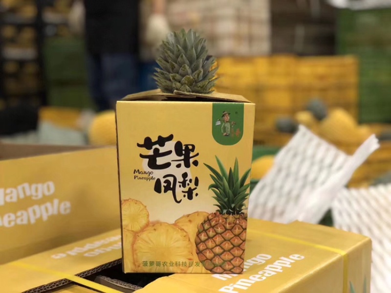 海南芒果凤梨2斤起精品包装6个装13斤到16斤净重