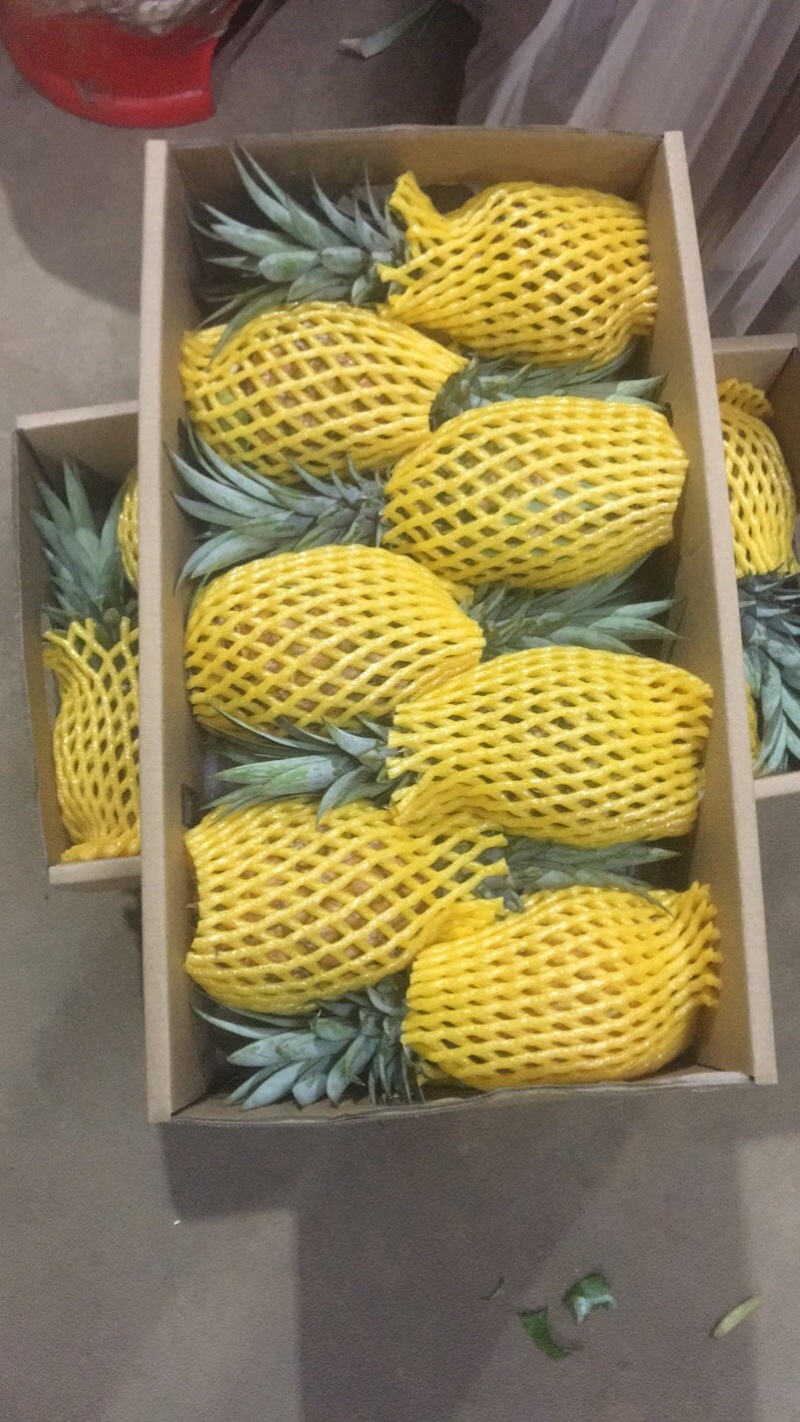 海南芒果凤梨2斤起精品包装6个装13斤到16斤净重