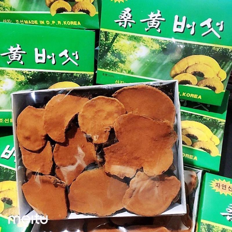 西藏野生桑黄正宗西藏桑树桑黄天然金边桑黄