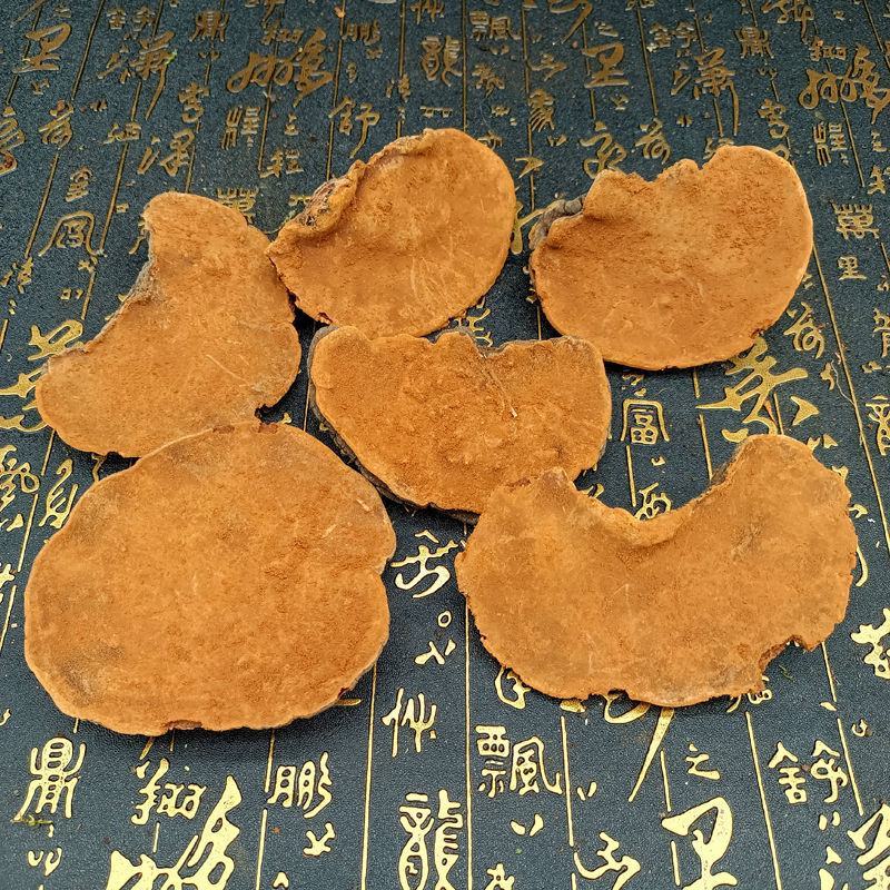 西藏野生桑黄正宗西藏桑树桑黄天然金边桑黄