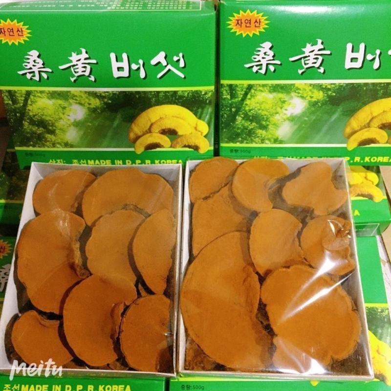 西藏野生桑黄正宗西藏桑树桑黄天然金边桑黄