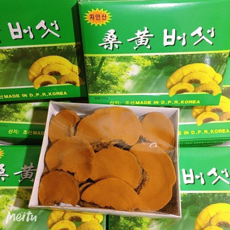 西藏野生桑黄正宗西藏桑树桑黄天然金边桑黄