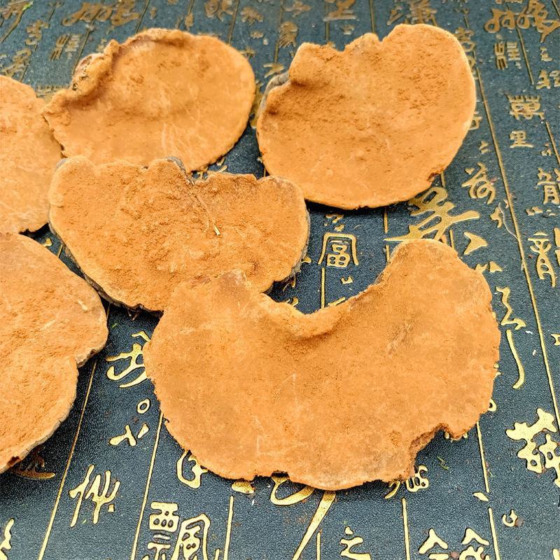 西藏野生桑黄正宗西藏桑树桑黄天然金边桑黄