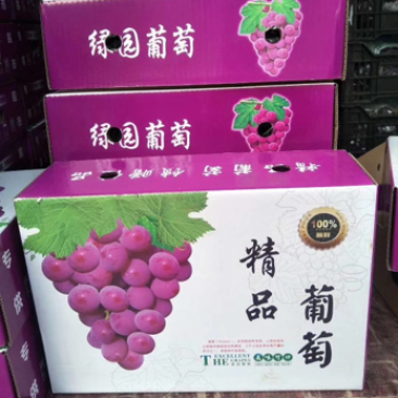 礼盒葡萄，巨峰甜葡萄净果5斤装。对接电商平台团购