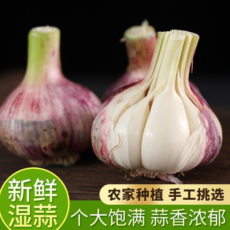 【一件代发】云南25年湿鲜大蒜紫皮蒜独头蒜3/5/10斤