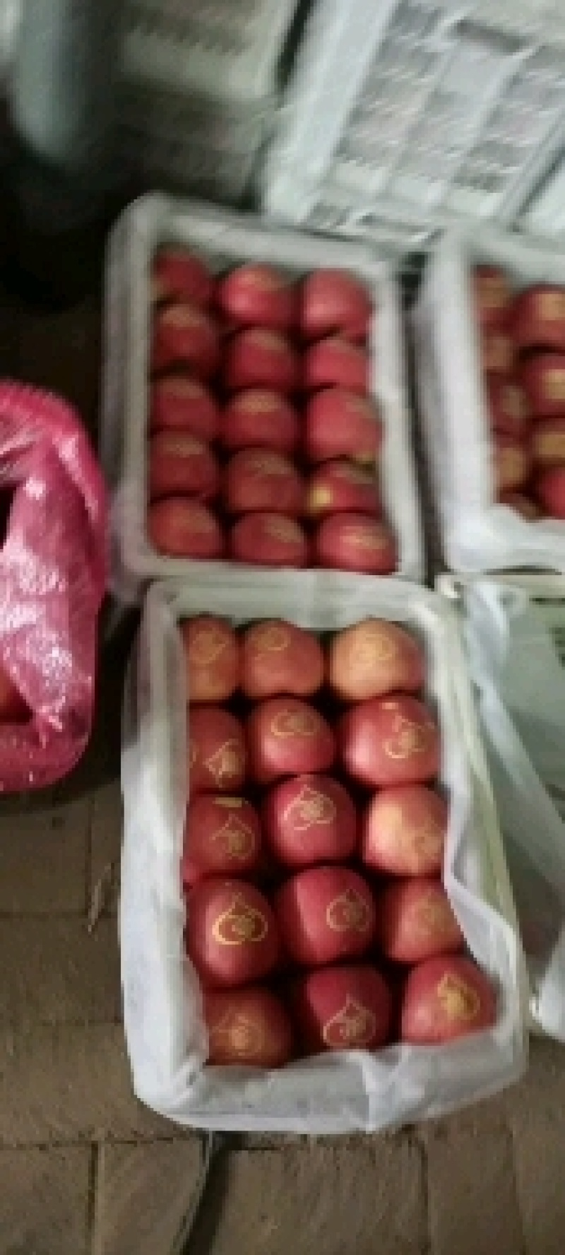 下架精品特大寒富苹果，颜色鲜艳，全国发货