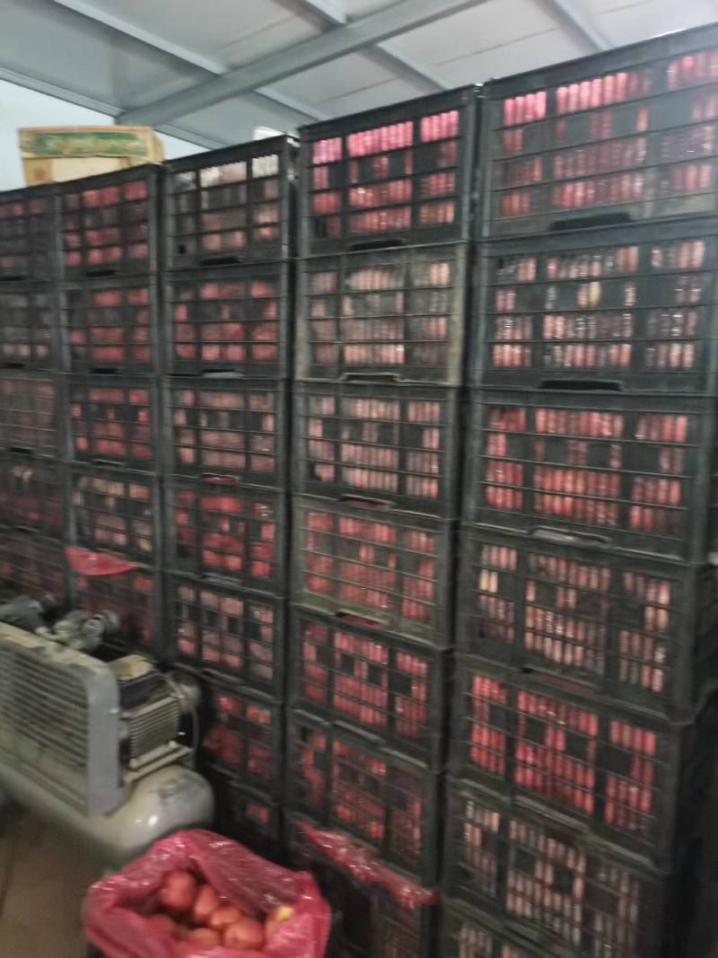 下架精品特大寒富苹果，果个精品，颜色鲜艳，口感香甜，产地