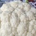 《实力商家》有机花松花菜，量大从优，可全国发货，价格合理