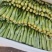 精品菜苔精品菜心价钱优惠质量保障量大从优