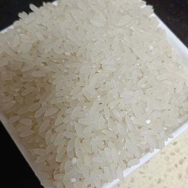 长粒香米统称小站稻