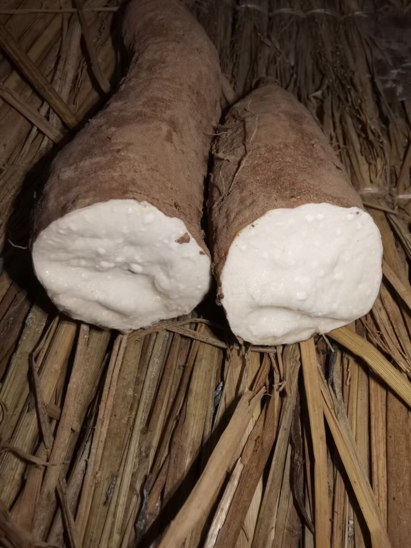 白哈密红薯、哈密红薯、白哈密红薯、冰糖心白哈密红薯、