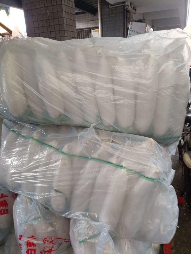 高质量白萝卜量大可优惠