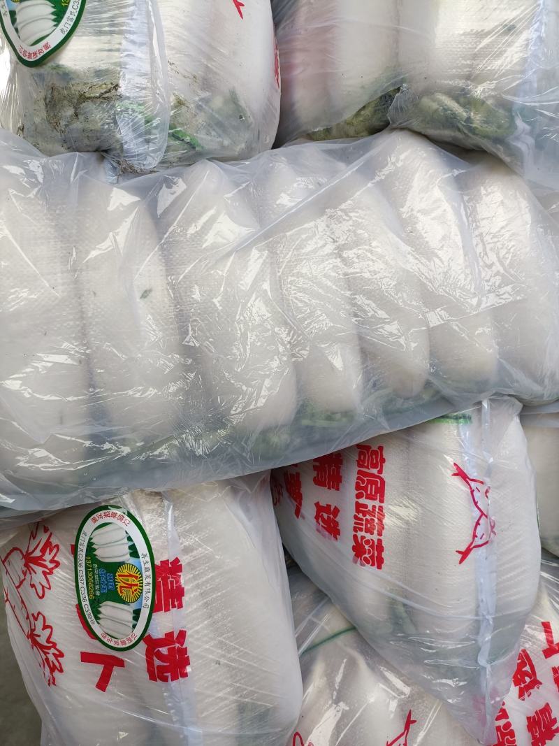 高质量白萝卜量大可优惠