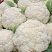 浙江瑞安市登明蔬菜专业合作社花菜代收欢迎新老客户前来冾谈
