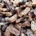 【蛴螬好统货】@【同欢药材】中药材批发供应规格齐全
