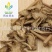 【无硫当归头】@【同欢药材】中药材批发供应