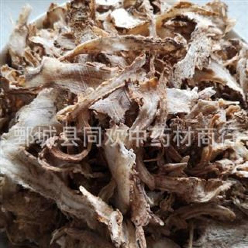 【好统货低硫当归】@【同欢药材】中药材批发供应