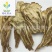 【当归压片佛手片】@【同欢药材】中药材批发供应规格齐全