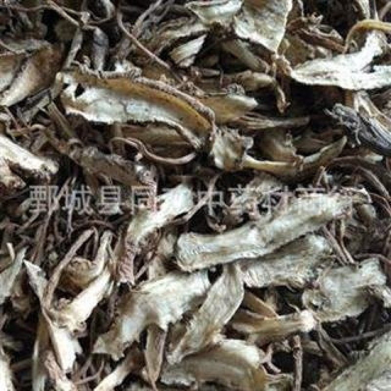 【小统无硫一棵树当归】【同欢药材】中药材批发供应